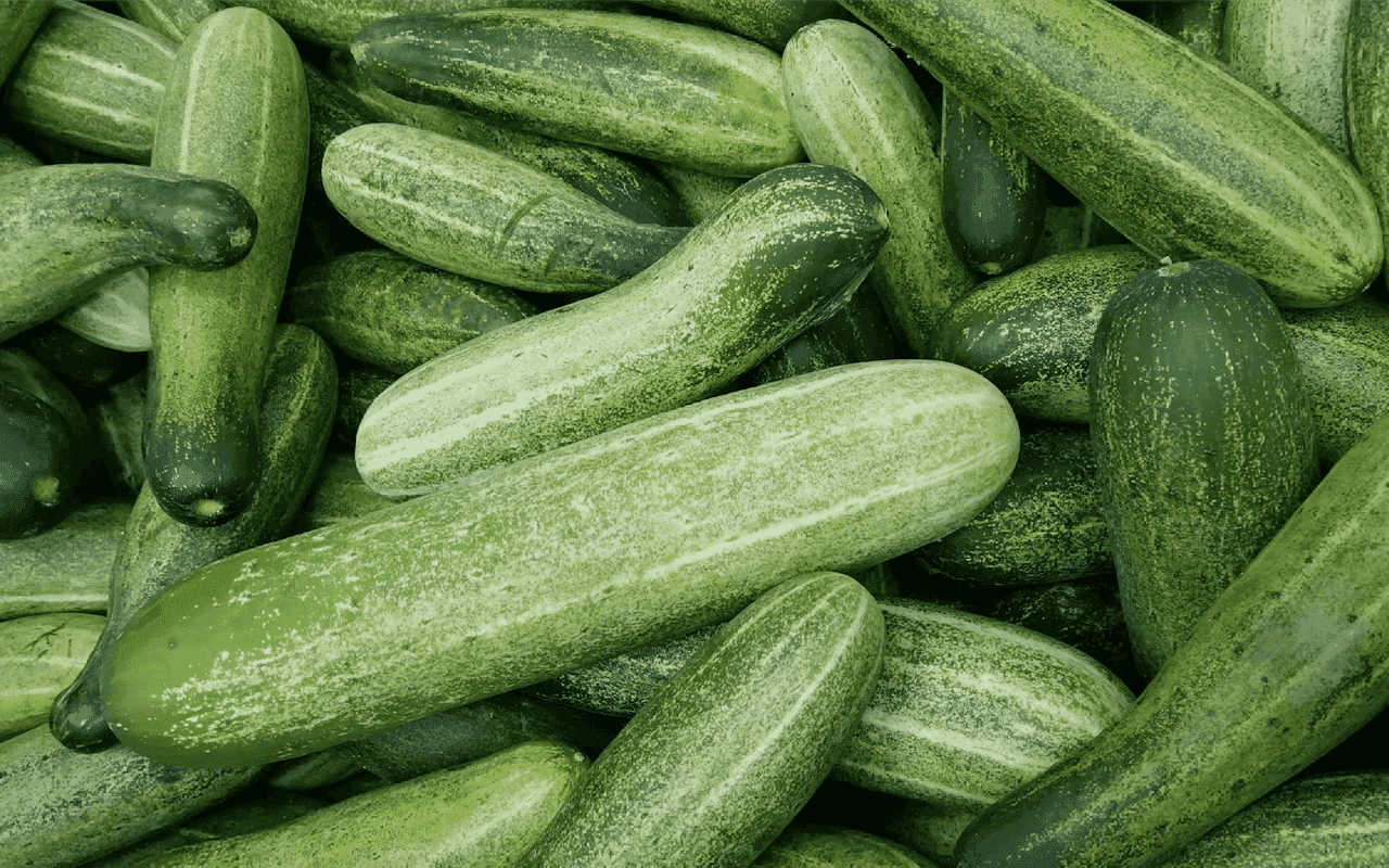 Top 9 Water-Rich Vegetables in UAE Markets- Cucumber